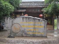 Arbre Banyan millénaire,Yangshuo