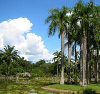 Jardin Tropical Botanique de Menglun,Xishuangbanna