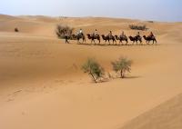 La dune de Shapotou