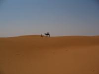 La dune de Shapotou, Yingchuan