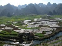 La forêt Wanfeng, Guizhou