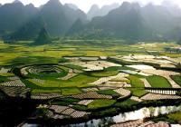 La forêt Wanfeng, Guizhou