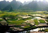 La forêt Wanfeng, Guizhou