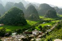 La forêt Wanfeng, Guizhou