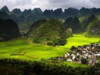 La forêt Wanfeng, Guizhou