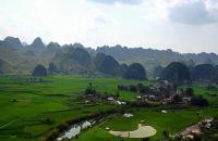 La forêt Wanfeng, Guizhou