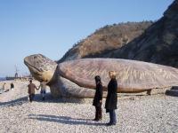 La plage du Tigre Dalian