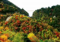 La réserve naturelle de Shennongjia