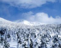 Le givre à Jilin