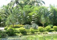 Le jardin tropical de Xinglong