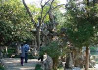 Le jardin Xuyuan, Nanjing