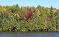 Le lac aux érables rouges