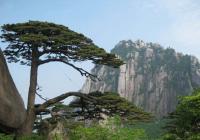 Le parc forestier national de Zhangjiajie