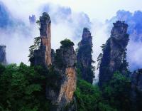 Le parc forestier national de Zhangjiajie