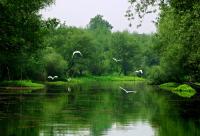 Le parc national des Terres Humides de Xixi, Hangzhou