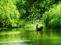 Le parc national des Terres Humides de Xixi, Hangzhou