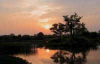 Le parc national des Terres Humides de Xixi, Hangzhou