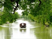 Le parc national des Terres Humides de Xixi, Hangzhou