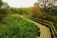 Le parc national des Terres Humides de Xixi, Hangzhou