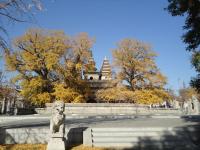 Le temple des cinq pagodes, Hohhot