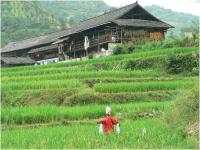 Le village de Boji