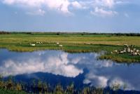 Les Prairies Xilamuren 