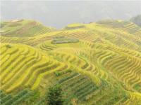 Longsheng et Rizières en Terasse,Guilin