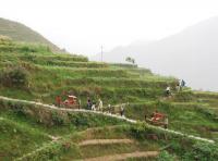 Longsheng et Rizières en Terasse,Guilin