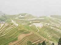 Longsheng et Rizières en Terasse,Guilin