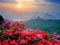 Mont Yao et Jardin de Thé,Guilin