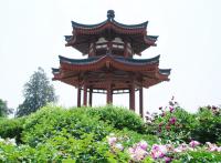 Pagode de l'Oie Sauvage,Xi'An