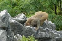 Parc des Sept Etoiles,Guilin