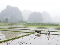 Rivière de Yulong,Yangshuo