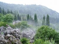 La Colline de l'ouest et la porte du dragon,Kunming